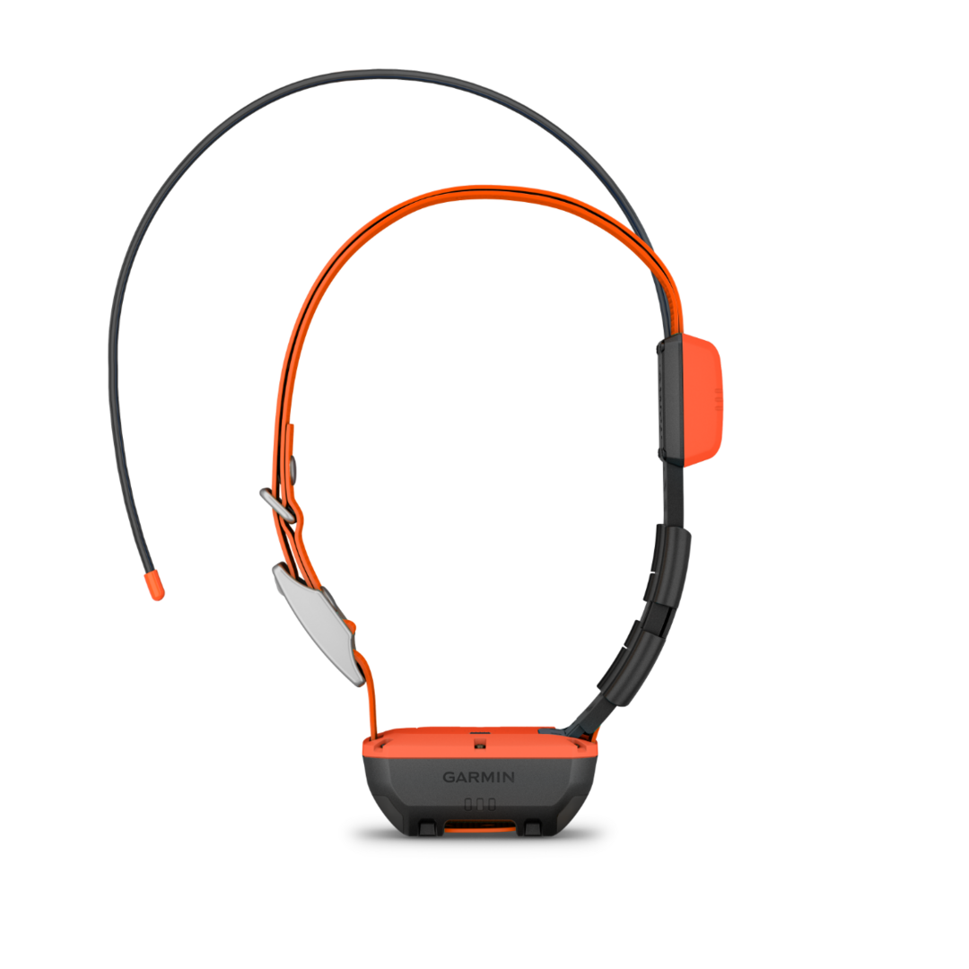 Collier De Suivi Garmin T20F