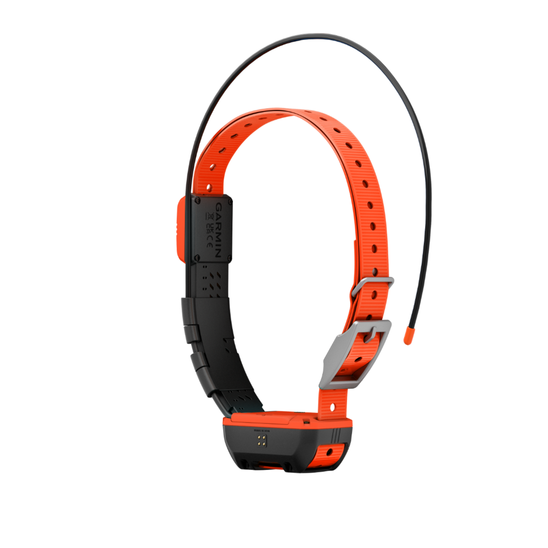 Collier De Suivi Garmin T20F