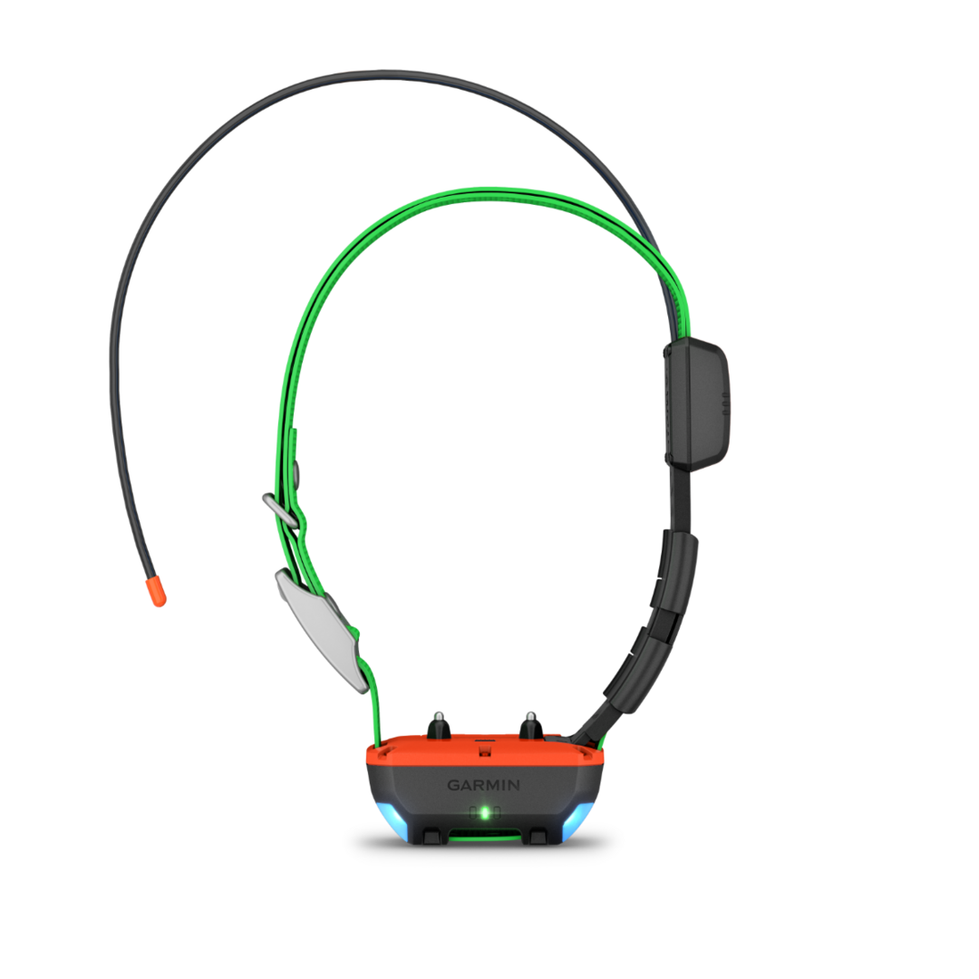 COLLIER GARMIN TT25 F