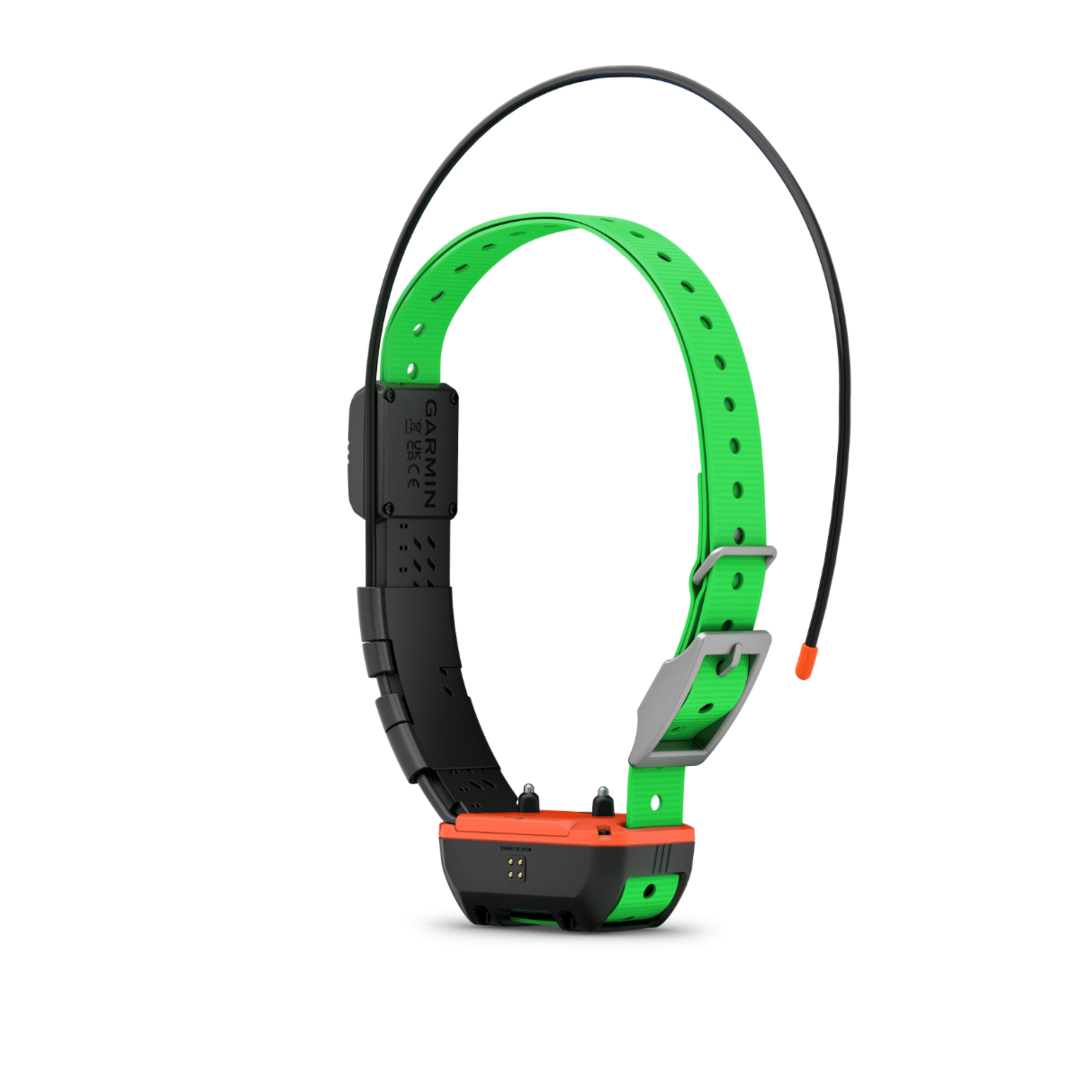 PACK GPS GARMIN ALPHA 200F PLUS TT25R VERSION F