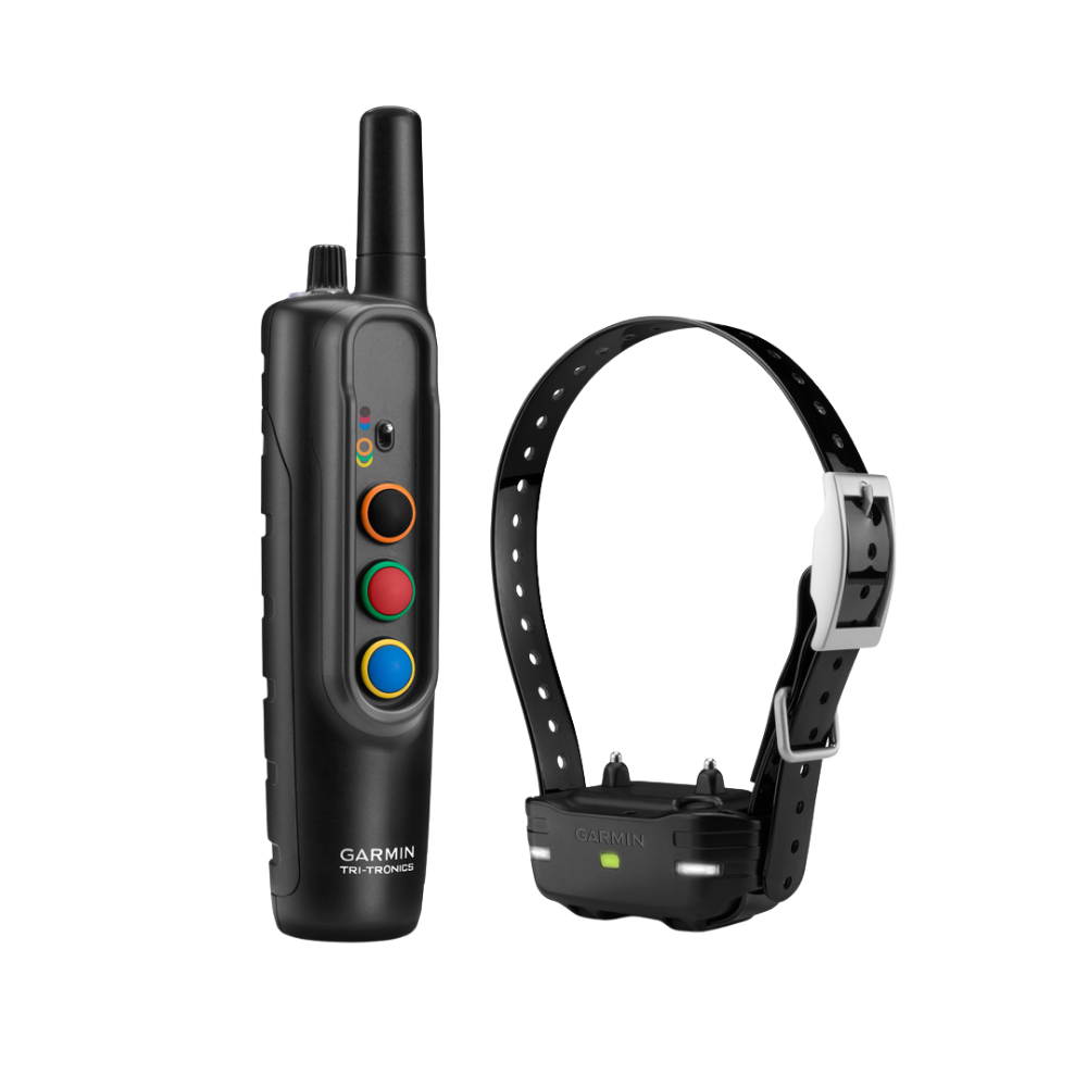Pack dressage canin Garmin pro 70