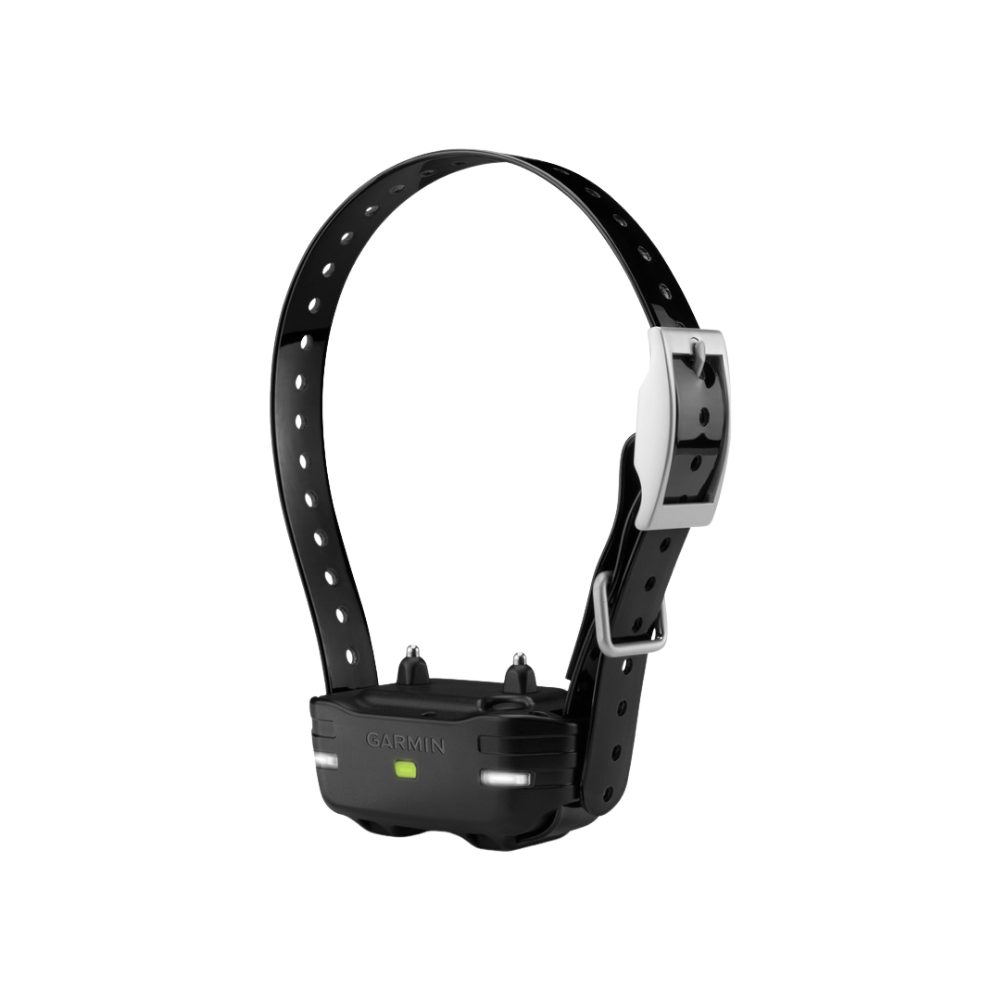 Pack dressage canin Garmin pro 70