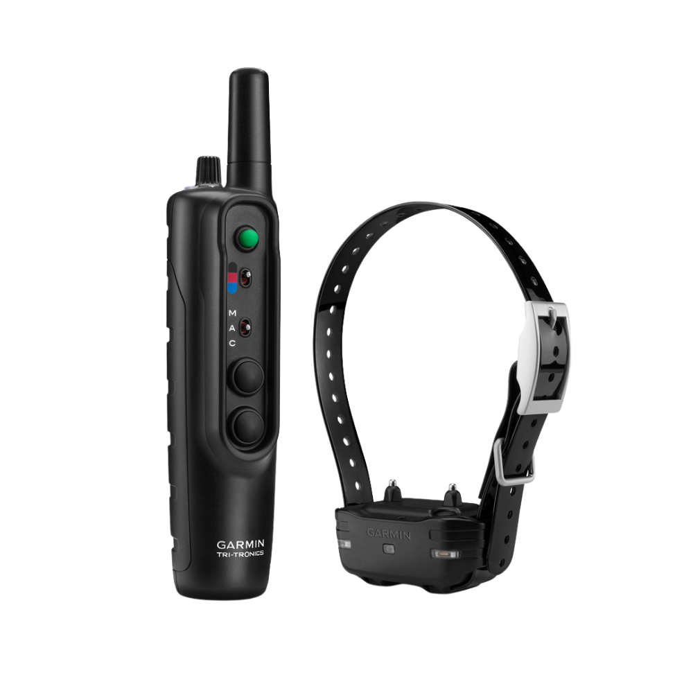 Pack dressage canin Garmin pro 550