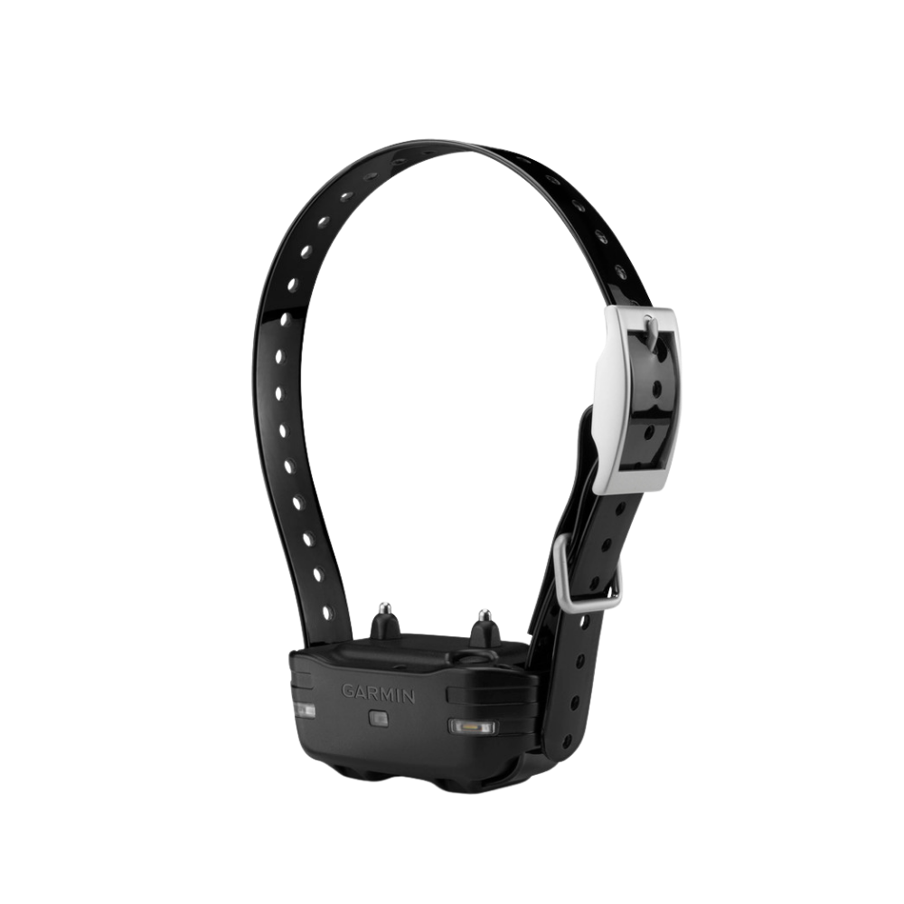 Pack dressage canin Garmin pro 550
